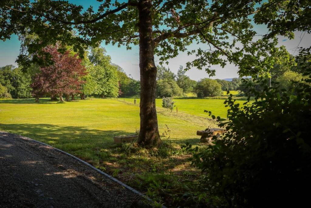 5* Self Catering Villa Nenagh Exteriör bild